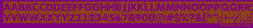 AFuturaroundtitulcm Font – Brown Fonts on Purple Background
