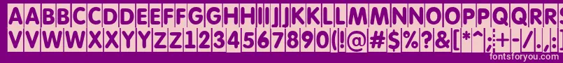 AFuturaroundtitulcm Font – Pink Fonts on Purple Background
