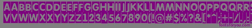 Шрифт AFuturaroundtitulcm – фиолетовые шрифты на сером фоне