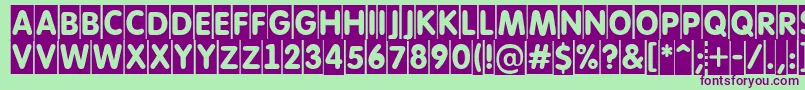 AFuturaroundtitulcm Font – Purple Fonts on Green Background
