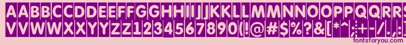 AFuturaroundtitulcm Font – Purple Fonts on Pink Background