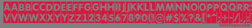 AFuturaroundtitulcm Font – Red Fonts on Gray Background