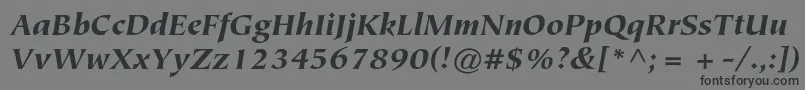 フォントTiepolostdBlackitalic – 黒い文字の灰色の背景