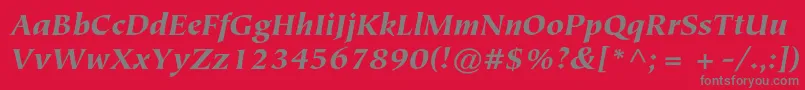TiepolostdBlackitalic Font – Gray Fonts on Red Background