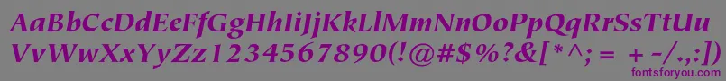 フォントTiepolostdBlackitalic – 紫色のフォント、灰色の背景