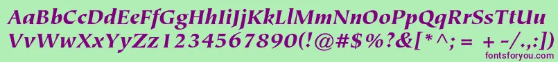 Czcionka TiepolostdBlackitalic – fioletowe czcionki na zielonym tle