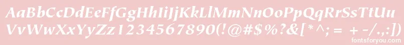 TiepolostdBlackitalic Font – White Fonts on Pink Background