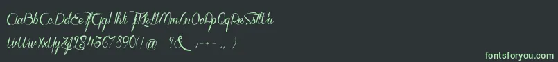 WalkerOnTheMoonLight Font – Green Fonts on Black Background