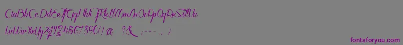 WalkerOnTheMoonLight Font – Purple Fonts on Gray Background