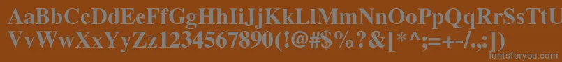 LatinskijcBold Font – Gray Fonts on Brown Background