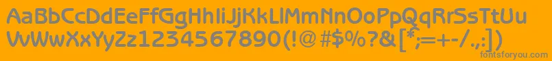 B691SansBold Font – Gray Fonts on Orange Background