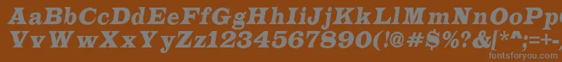 フォントALatinonrItalic – 茶色の背景に灰色の文字