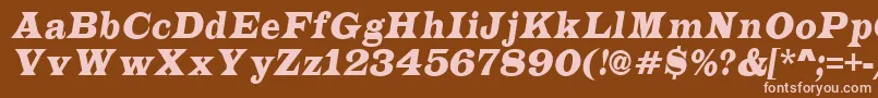 ALatinonrItalic Font – Pink Fonts on Brown Background