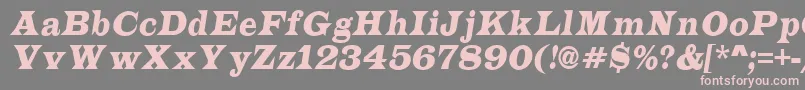 ALatinonrItalic-fontti – vaaleanpunaiset fontit harmaalla taustalla