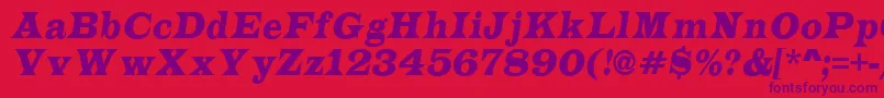 ALatinonrItalic Font – Purple Fonts on Red Background
