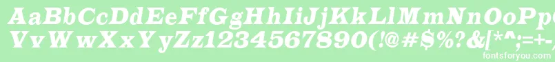 ALatinonrItalic Font – White Fonts on Green Background