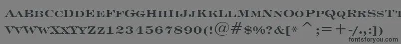 フォントEngraversRomanBoldBt – 黒い文字の灰色の背景