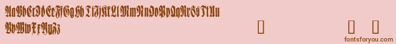 WittenbachDemo Font – Brown Fonts on Pink Background