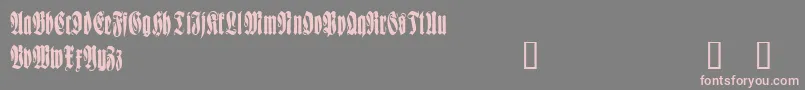 fuente WittenbachDemo – Fuentes Rosadas Sobre Fondo Gris