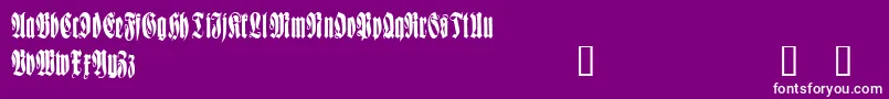 WittenbachDemo-Schriftart – Weiße Schriften auf violettem Hintergrund