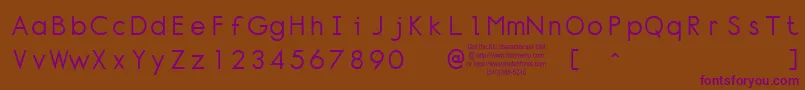 Normt Font – Purple Fonts on Brown Background