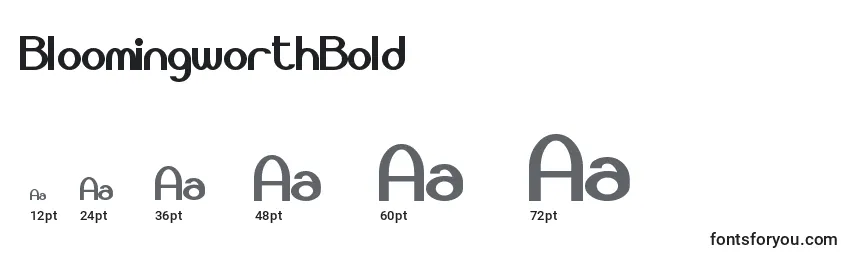 BloomingworthBold Font Sizes