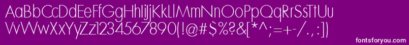 Mksansseriflighttallx Font – White Fonts on Purple Background