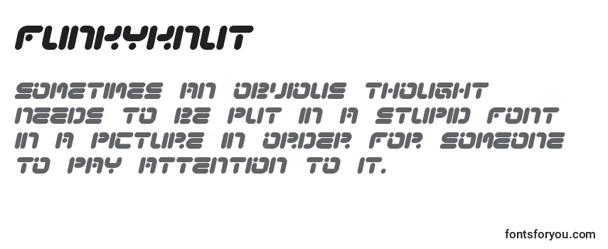 Review of the FunkyKnut Font