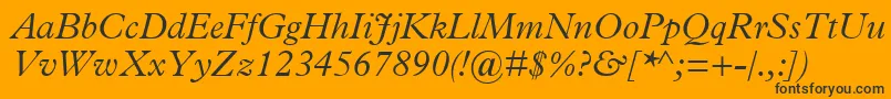 TerminusLightSsiLightItalic Font – Black Fonts on Orange Background