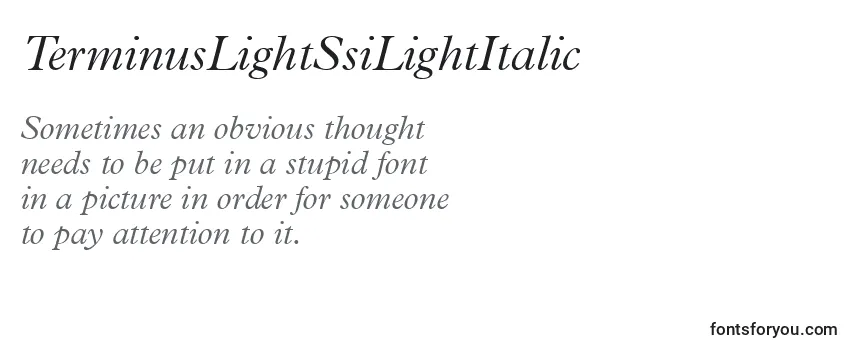 Review of the TerminusLightSsiLightItalic Font