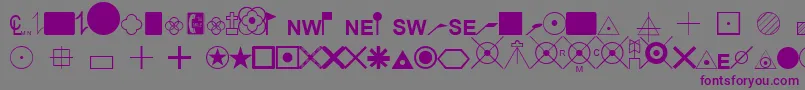 EsriSurveyor Font – Purple Fonts on Gray Background