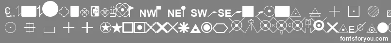 EsriSurveyor Font – White Fonts on Gray Background