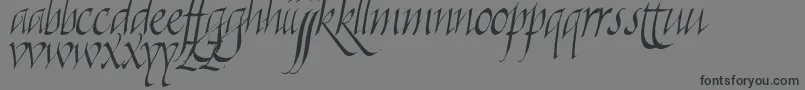 フォントKilligraphy – 黒い文字の灰色の背景