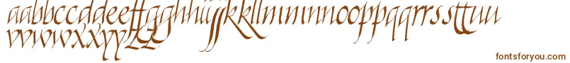 Killigraphy-Schriftart – Braune Schriften auf weißem Hintergrund