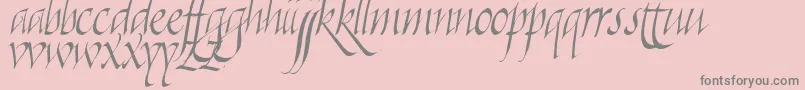 Fonte Killigraphy – fontes cinzas em um fundo rosa