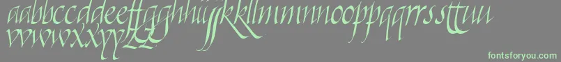 Weitere Informationen zur Killigraphy-Schriftart Killigraphy-Schriftart – Grüne Schriften auf grauem Hintergrund