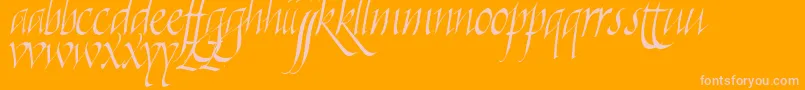 フォントKilligraphy – オレンジの背景にピンクのフォント