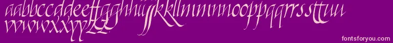 Killigraphy-Schriftart – Rosa Schriften auf violettem Hintergrund
