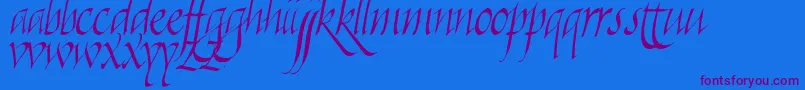 Killigraphy Font – Purple Fonts on Blue Background