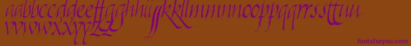 Killigraphy Font – Purple Fonts on Brown Background