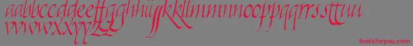 More about Killigraphy Font Killigraphy Font – Red Fonts on Gray Background