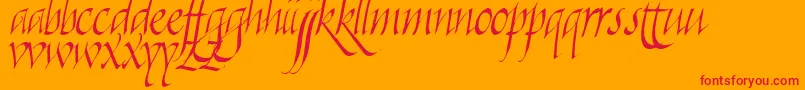 Killigraphy Font – Red Fonts on Orange Background