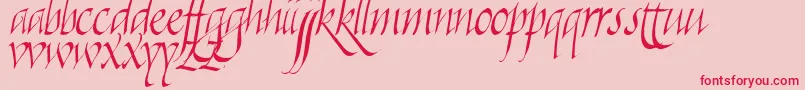 Killigraphy Font – Red Fonts on Pink Background