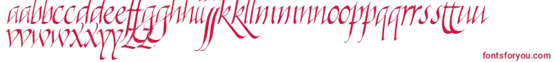 Killigraphy Font – Red Fonts on White Background