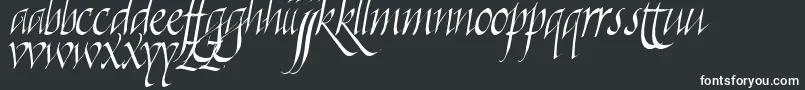 Killigraphy-Schriftart – Weiße Schriften auf schwarzem Hintergrund