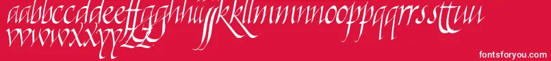 フォントKilligraphy – 赤い背景に白い文字