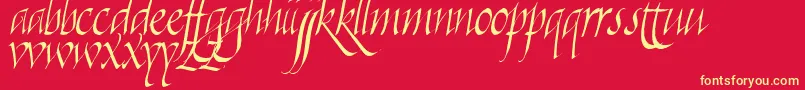 Killigraphy Font – Yellow Fonts on Red Background