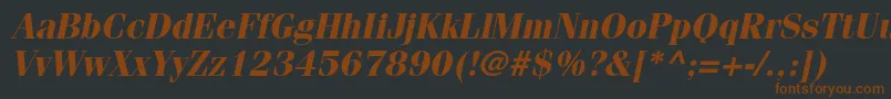 Шрифт FenicestdBoldoblique – коричневые шрифты на чёрном фоне