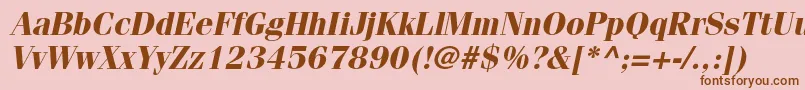 FenicestdBoldoblique Font – Brown Fonts on Pink Background