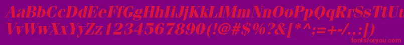 FenicestdBoldoblique Font – Red Fonts on Purple Background